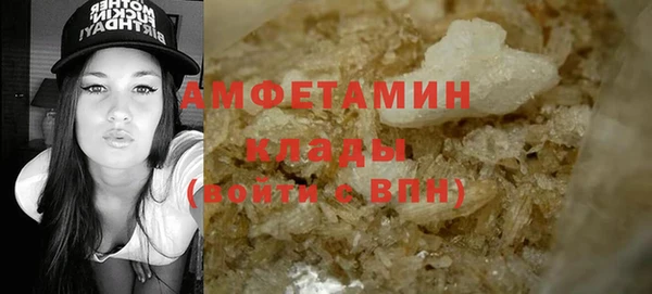 шишки Арсеньев