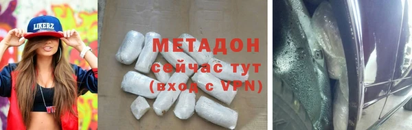 шишки Арсеньев