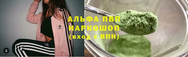 шишки Арсеньев