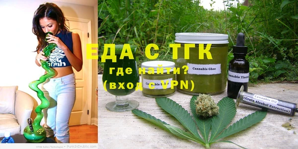 спиды Ельня