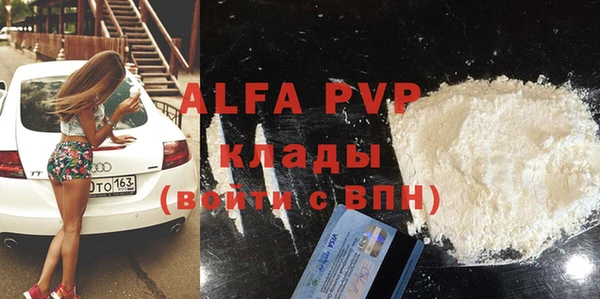 шишки Арсеньев