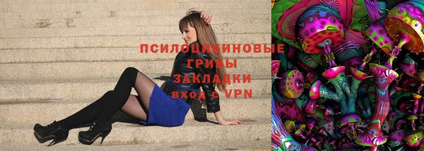 шишки Арсеньев