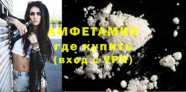 шишки Арсеньев