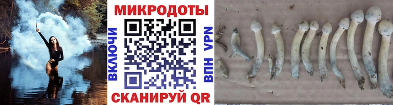 Псилоцибиновые грибы Cubensis где купить наркотик Владивосток